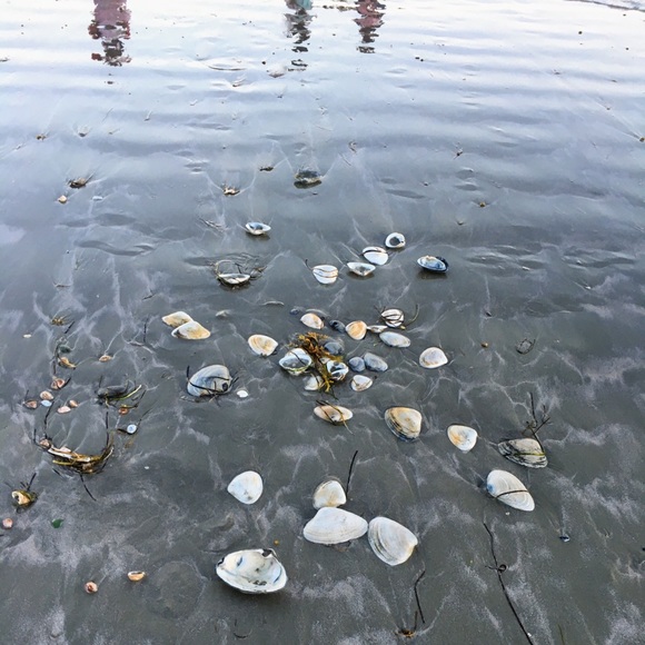 Meet your Posher, Nikki - Picture 4 of 6